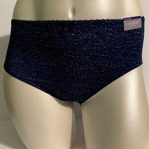 Catherines Hi-Cut Brief Panties Underwear Microfiber Blue White Plus Size 3X